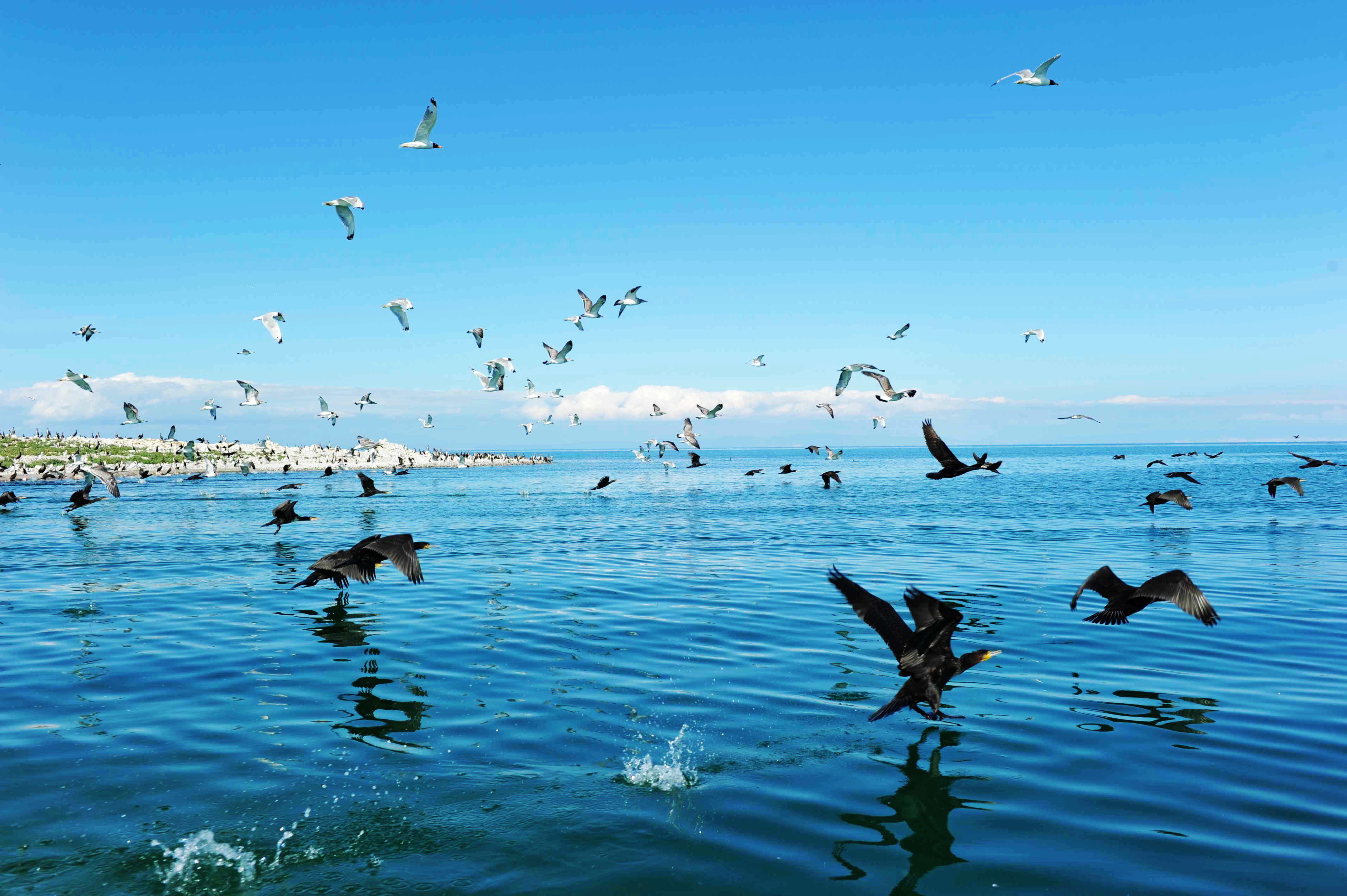 El Lago Qinghai, uno de los lagos más hermosos de China
